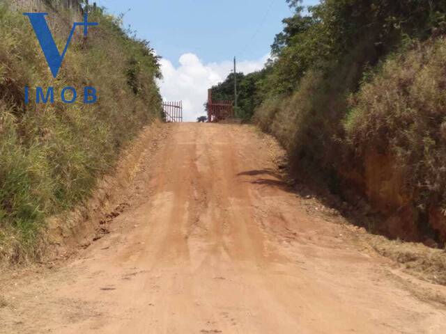  para  em  - 5