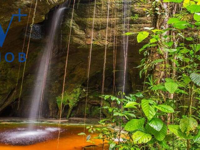 #170 - Área para Venda em Presidente Figueiredo - AM - 3